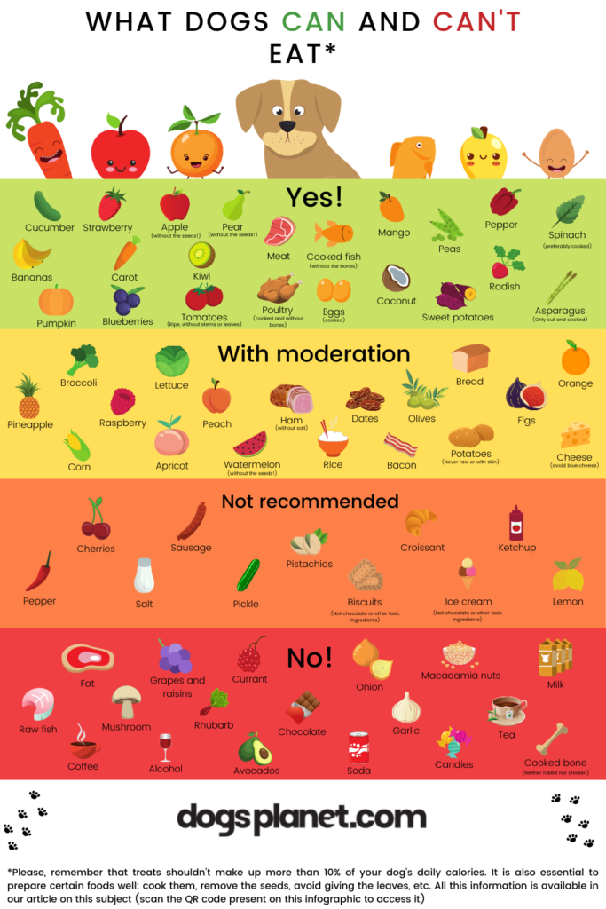 Food Dogs Should Not Eat Chart Can Cats Eat Uncooked Carrots