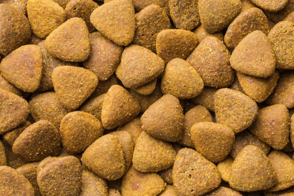 meilleurs distributeurs de croquettes pour chien comparatif avis