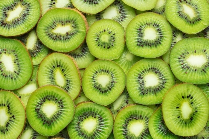 kiwi chien